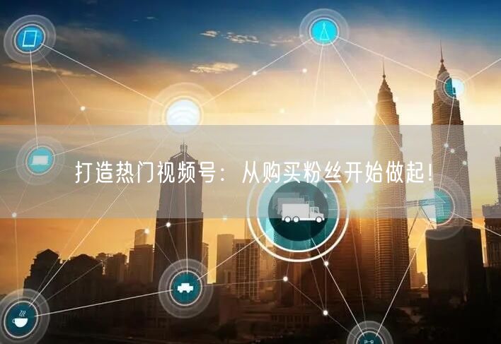 打造热门视频号：从购买粉丝开始做起！